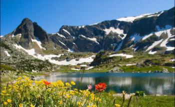 Красивая природа