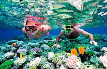 Уникальный подводный мир